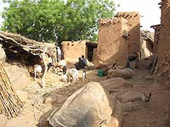 A Dogon village