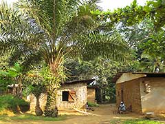 Filmer au Cameroun : Photos de Cameroun par Excelman Productions