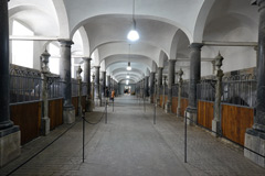 Les écuries du palais de Christiansborg