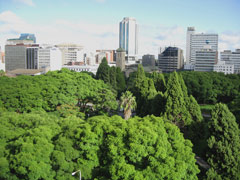 ハラレ市内の中心街
