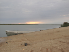 セネガルとモーリタニアの国境となっているセネガル川河です。